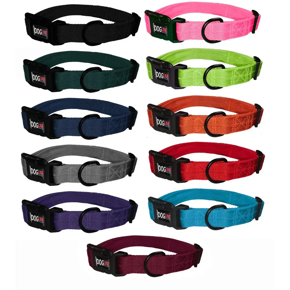 Nylon Flat Collar Dog