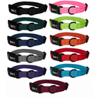 Nylon Flat Collar Dog