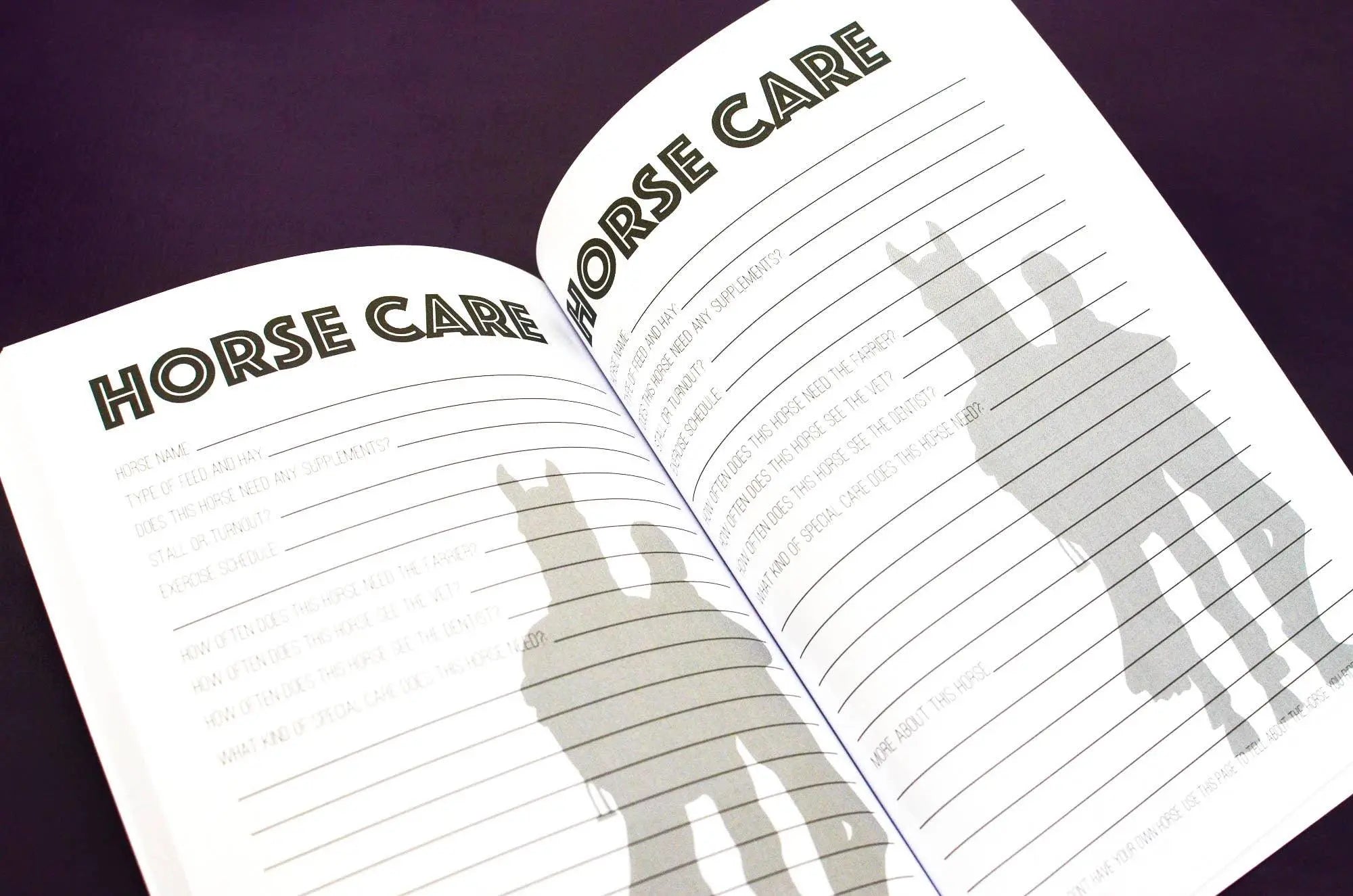 The Horseman's Journal