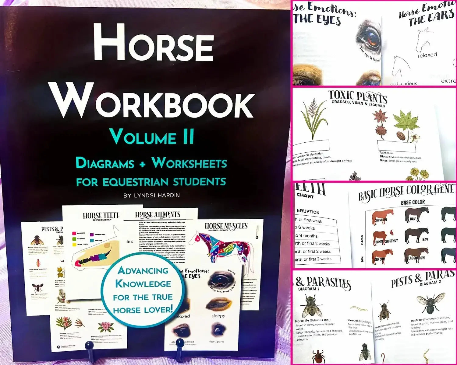 Horse Workbook Vol. II Front
