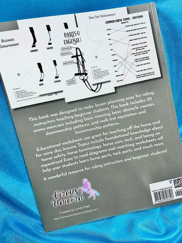 Beginner Rider Lesson Plan Horse