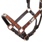 Pansy Leather Halter Horse
