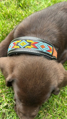 Dodger Trail Handcrafted Padded Beaded Dog Collar Dog