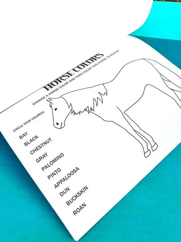 The Riding Student's Horse Workbook Horse