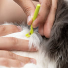 tick remover from dog