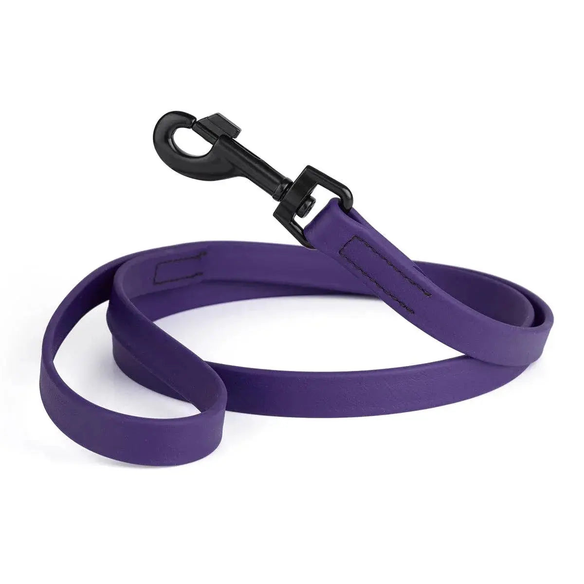 Biothane Waterproof Leash Dog