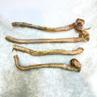 Duck Tracheas - Freeze-Dried