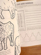 Ranch Math Grade 2: Money, Fractions, and Place Value inside