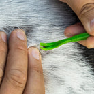 removing tick