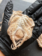 Baby Octopus - Freeze-Dried