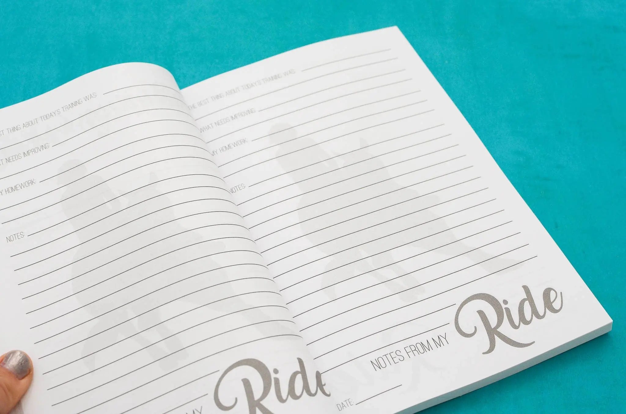 The Barrel Racer's Journal Horse