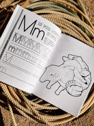 Rodeo: Pre-K & Kindergarten ABC Workbook  inside