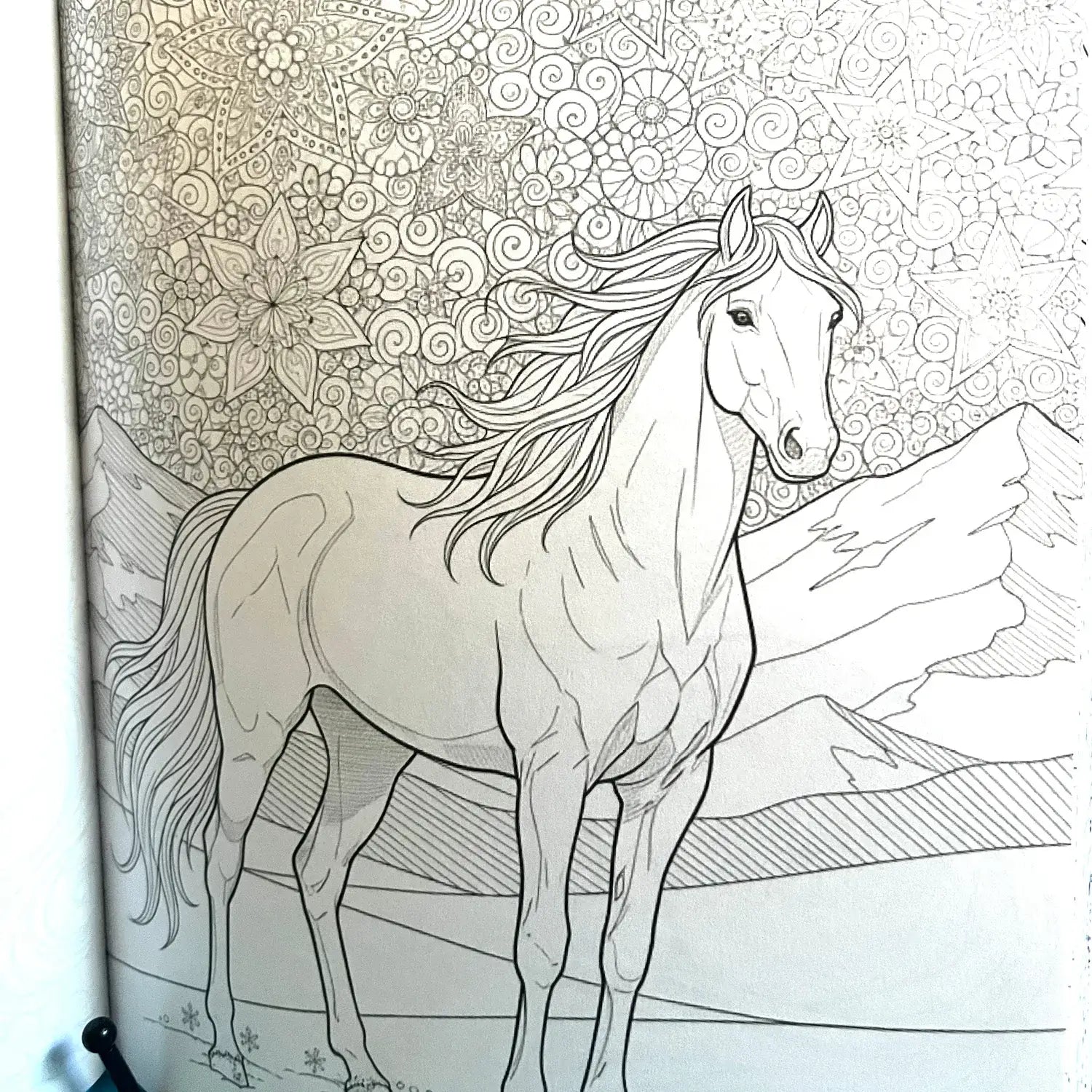 Winter Horses Coloring Book