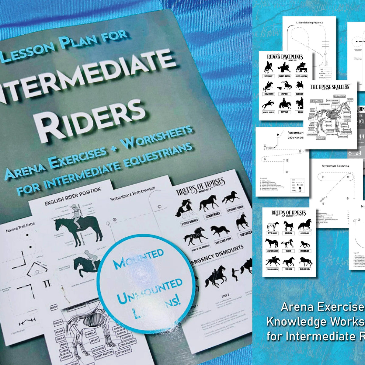 Intermediate Rider Lesson Plan - KP Pet Supply