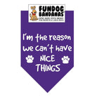 I'M the Reason We Can't Have Nice Things-Made in USA Dog