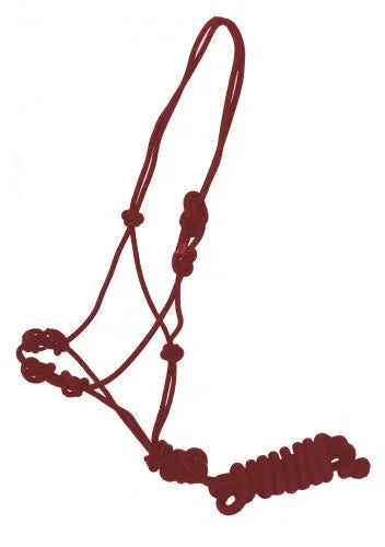 Training cowboy knot halter with four knot pressure points and lead