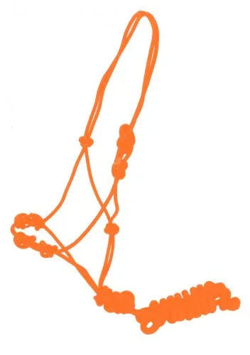 Training cowboy knot halter with four knot pressure points and lead