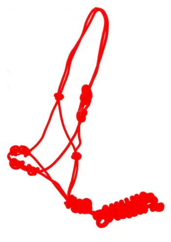 Training cowboy knot halter with four knot pressure points and lead