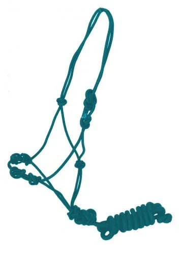 Training cowboy knot halter with four knot pressure points and lead