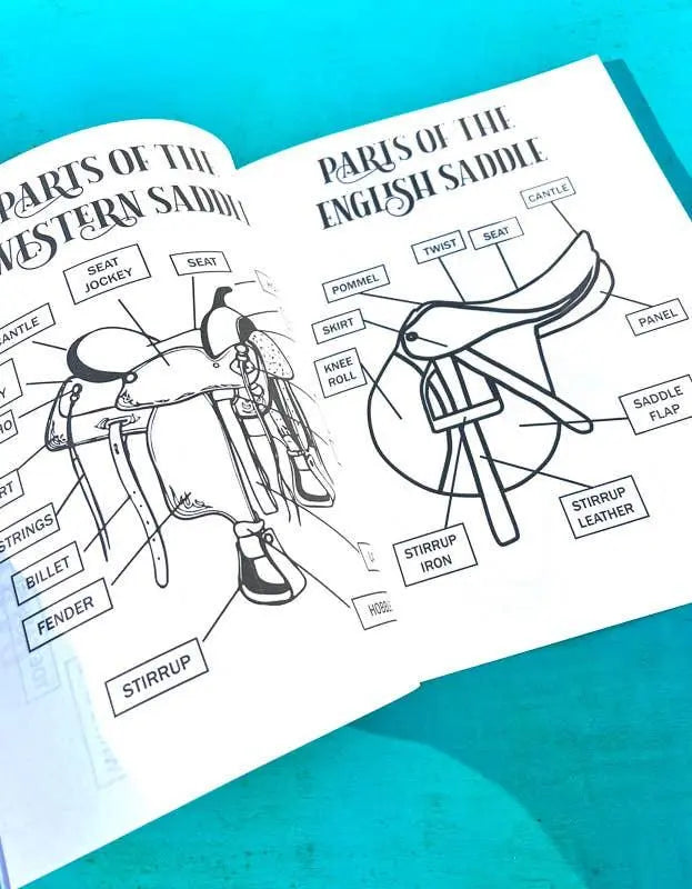 The Riding Student's Horse Workbook Horse