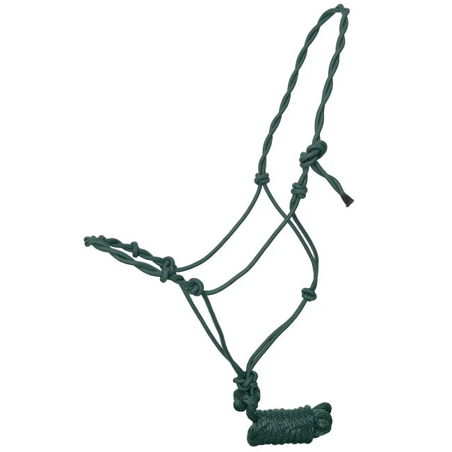 Draft Size Twisted Cowboy Knot Halter with 10 Ft. Lead Horse