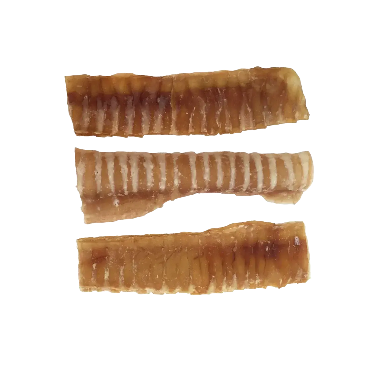 6" Trachea Flats Dog