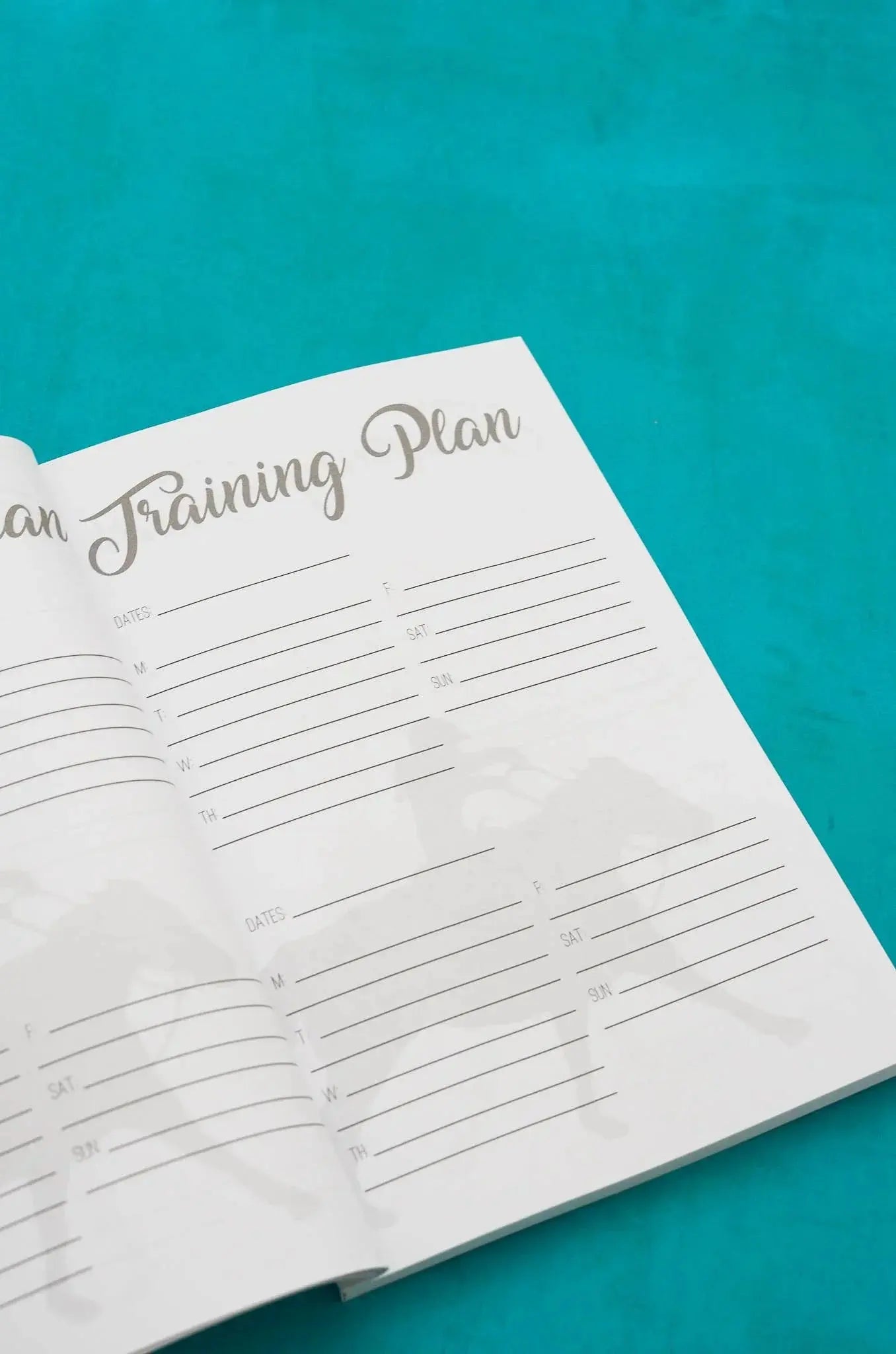 The Barrel Racer's Journal Horse
