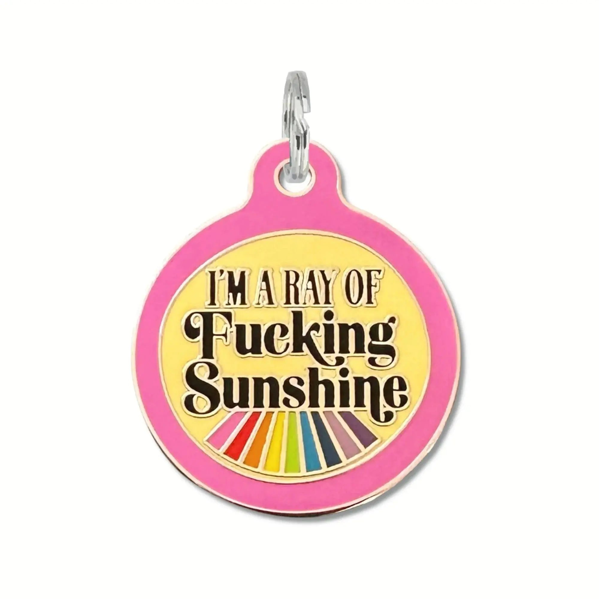 I'm a Ray of Fucking Sunshine - Dog ID Tag or Collar Charm Dog