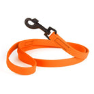 Biothane Waterproof Leash Dog
