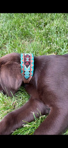 Brown dog in genuine leather collar with teal, burgundy beaded geometric inlay