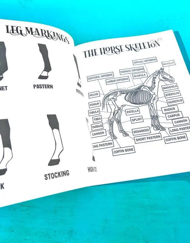 The Book of Equestrian Diagrams & Worksheets Horse