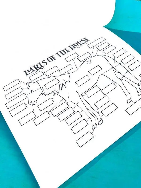 The Book of Equestrian Diagrams & Worksheets Horse