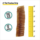 6" Trachea Flats Dog