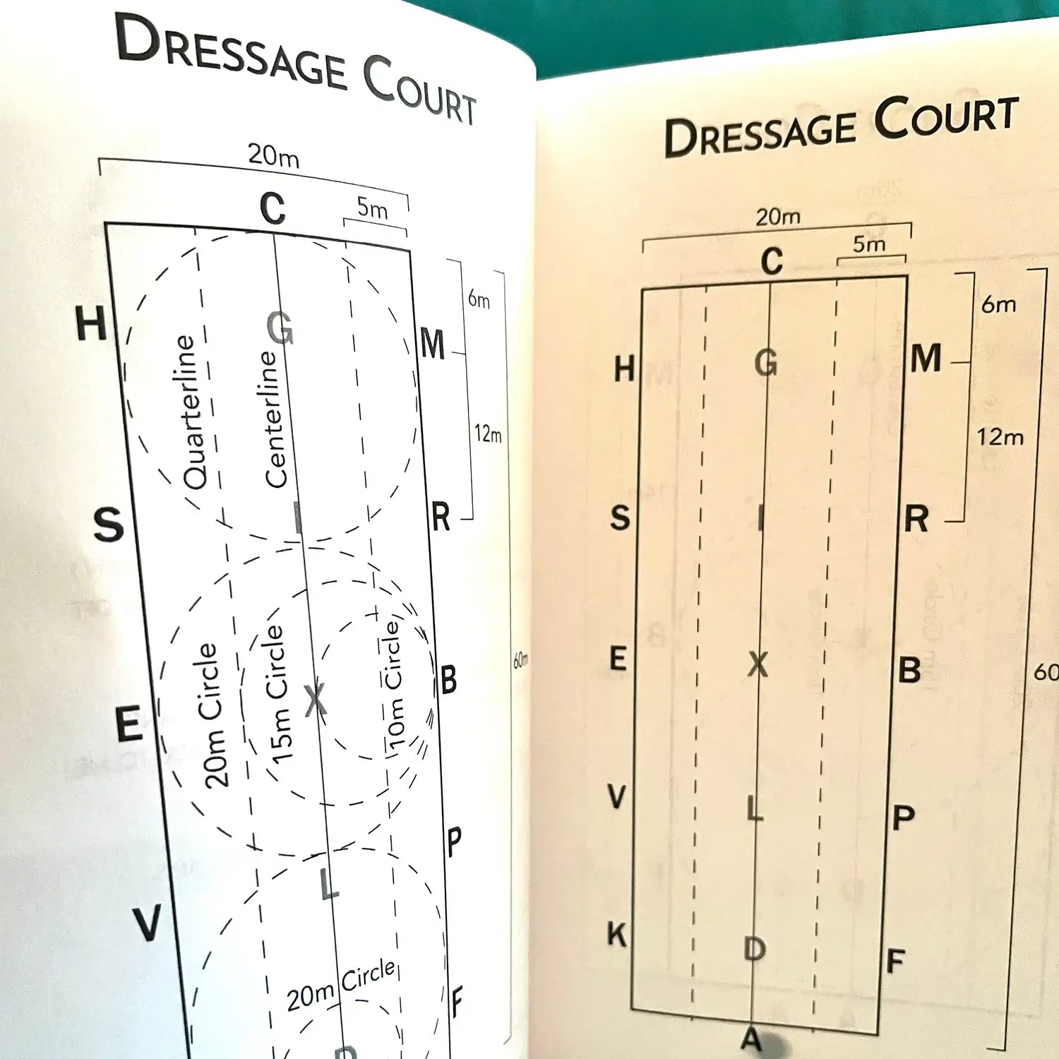 Dressage Rider's Journal (New Edition)