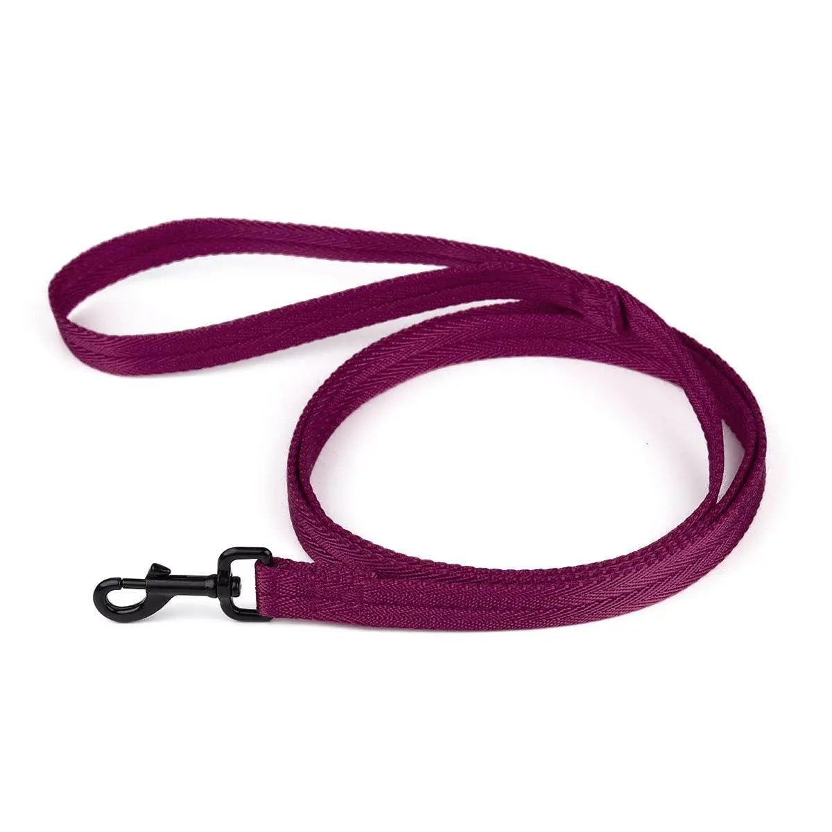 Nylon Flat Leash