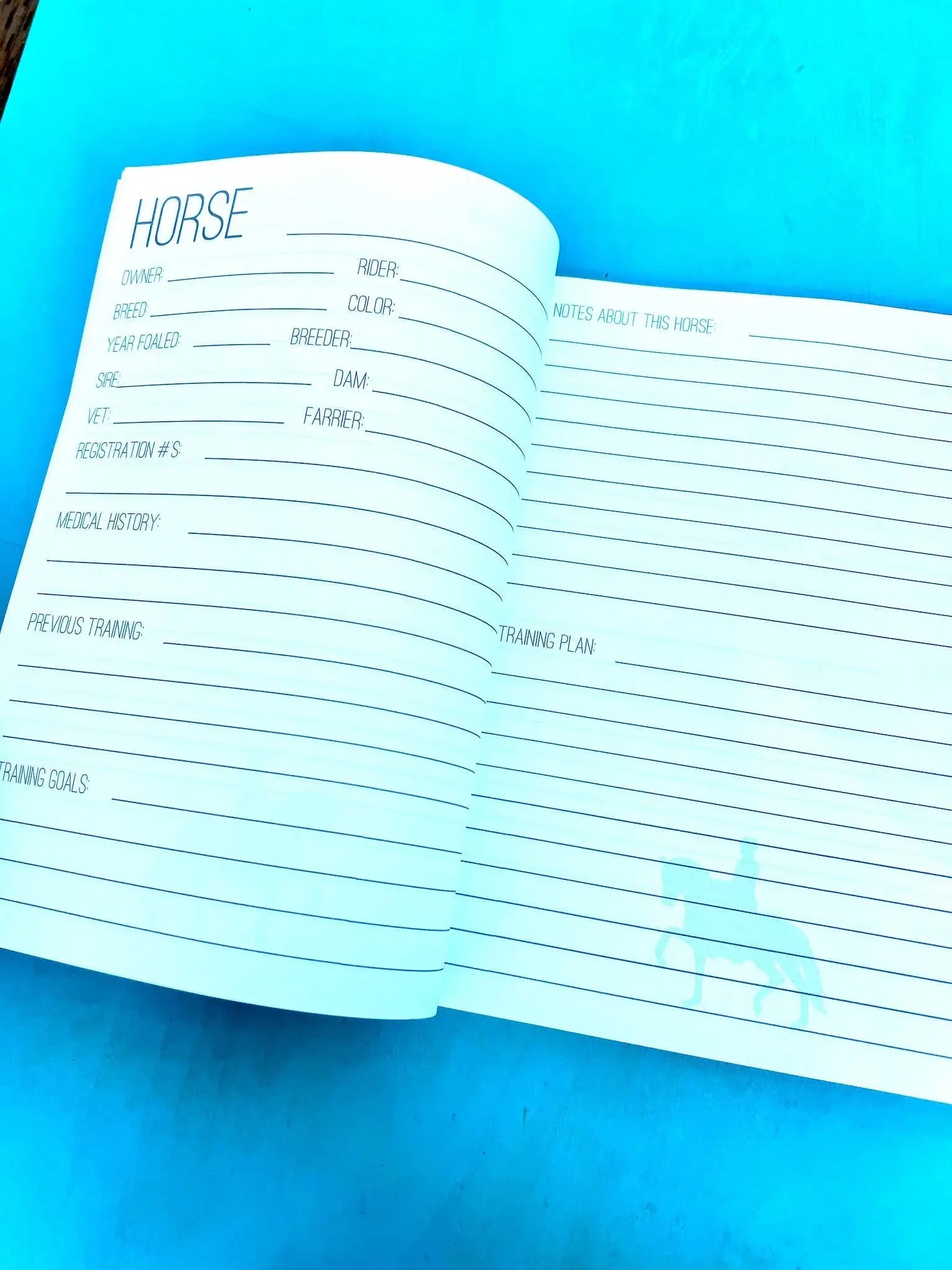 The Horse Trainer's Log Book (The BIG Version)
