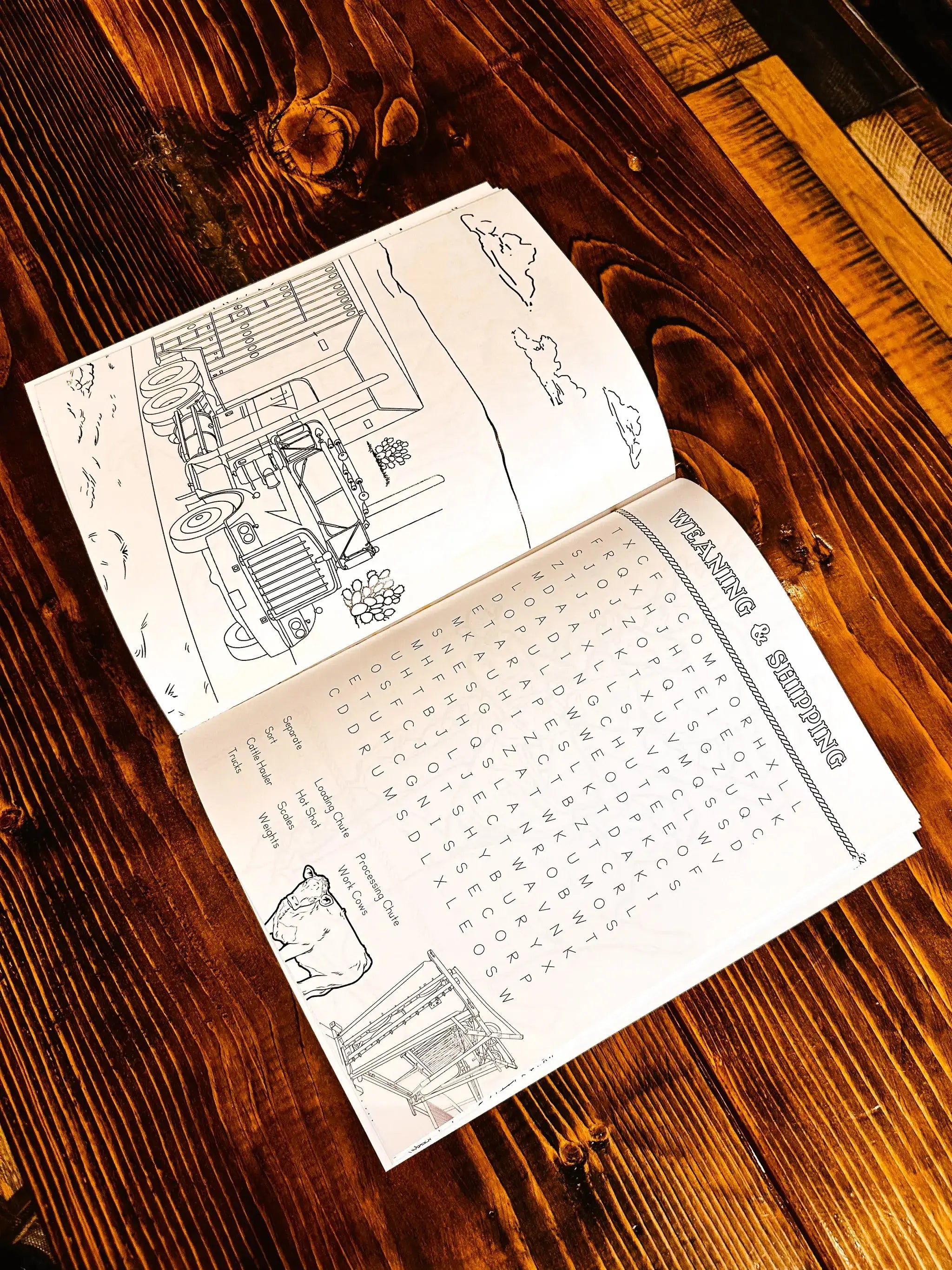Western Word Search  inside