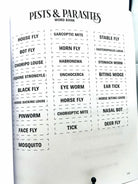 Horse Workbook Vol. II inside