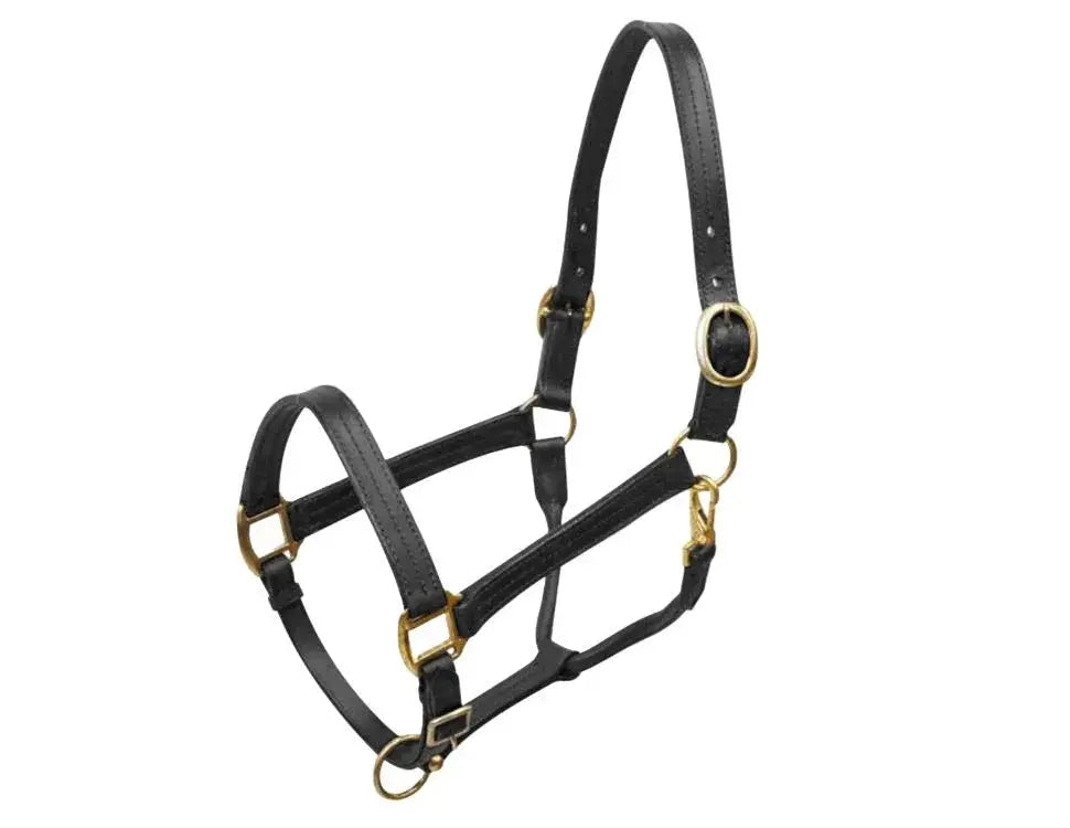 Large horse size (1100-1600lbs) leather halter with brass hardware