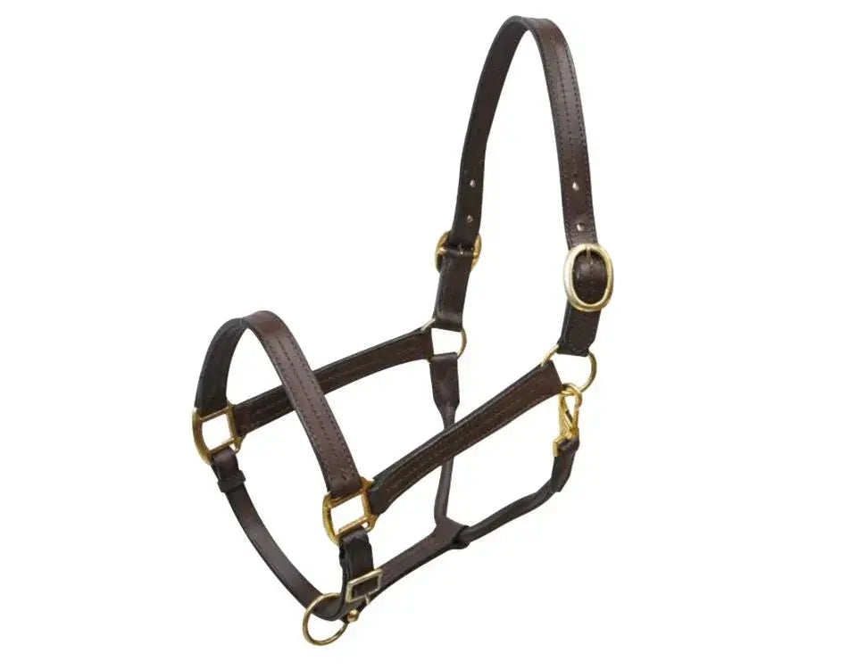 Large horse size (1100-1600lbs) leather halter with brass hardware