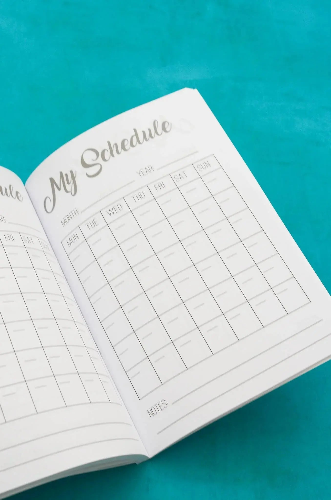 The Barrel Racer's Journal Horse