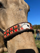 Woven Black Nylon Mule Tape Halter - 'Royal Flush'