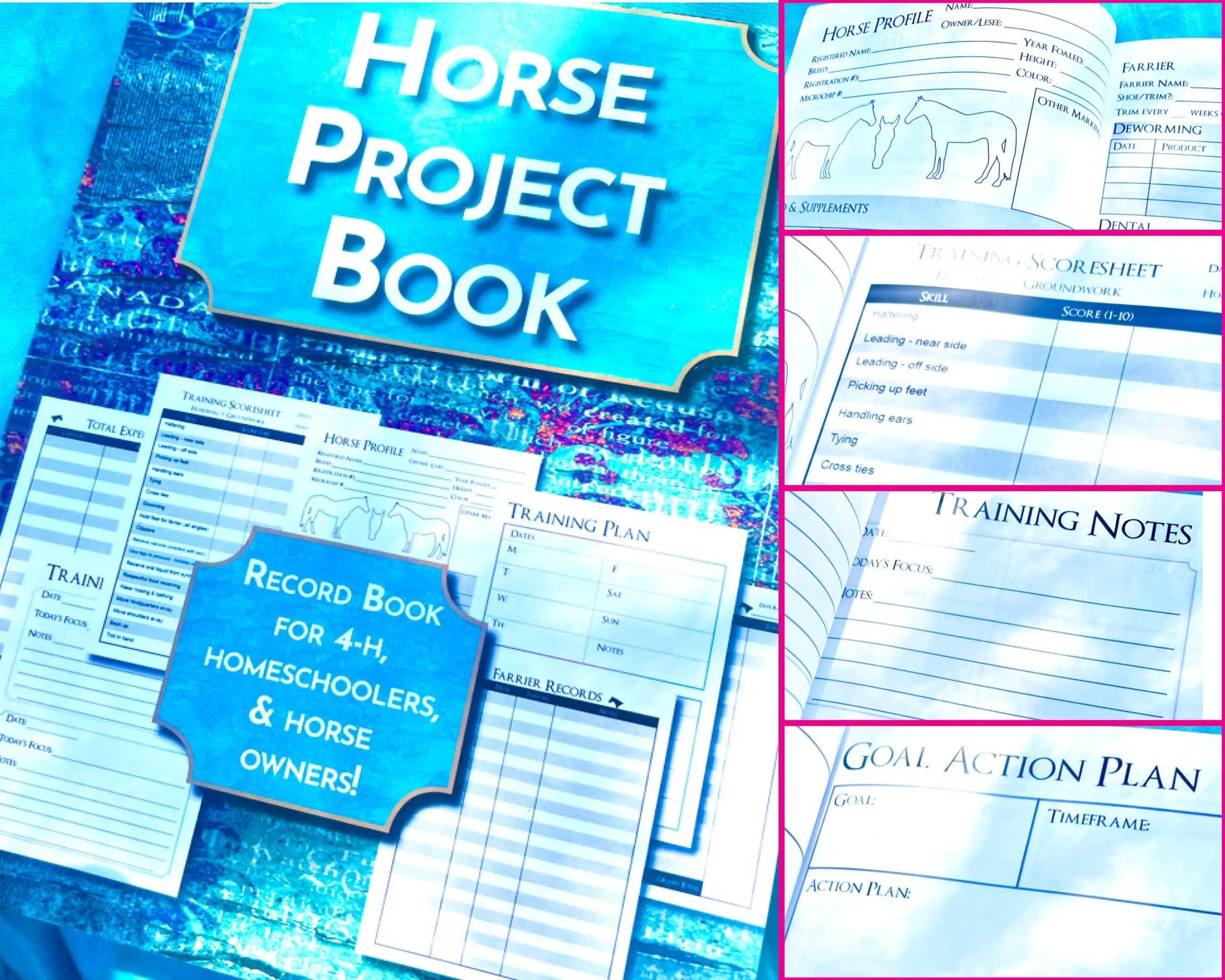 The Horse Project Book