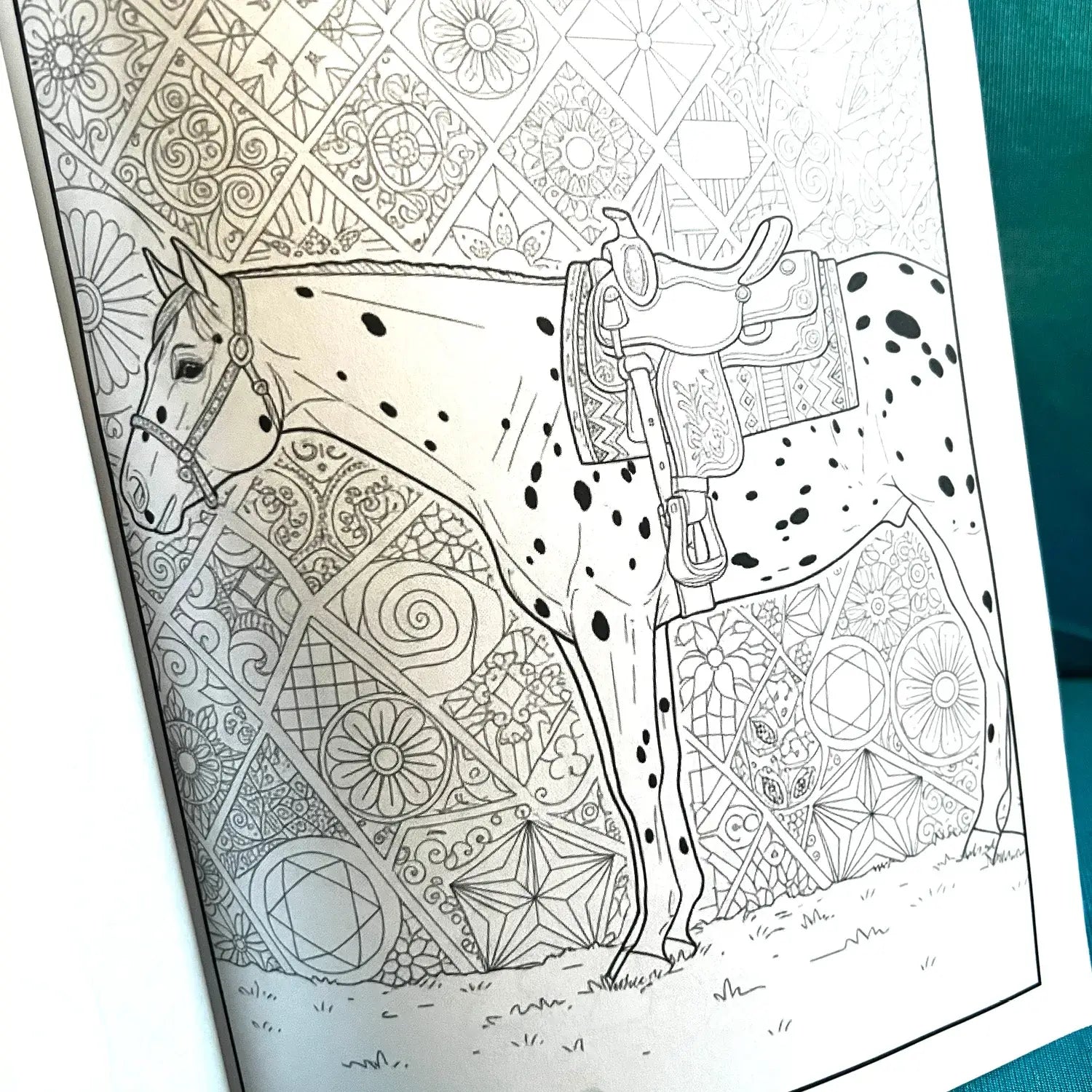 Horse Show Coloring Book