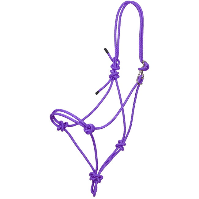 Purple rope halter