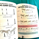 English Riding Lessons & Activities