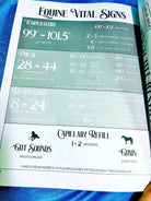 Intermediate Rider Lesson Plan