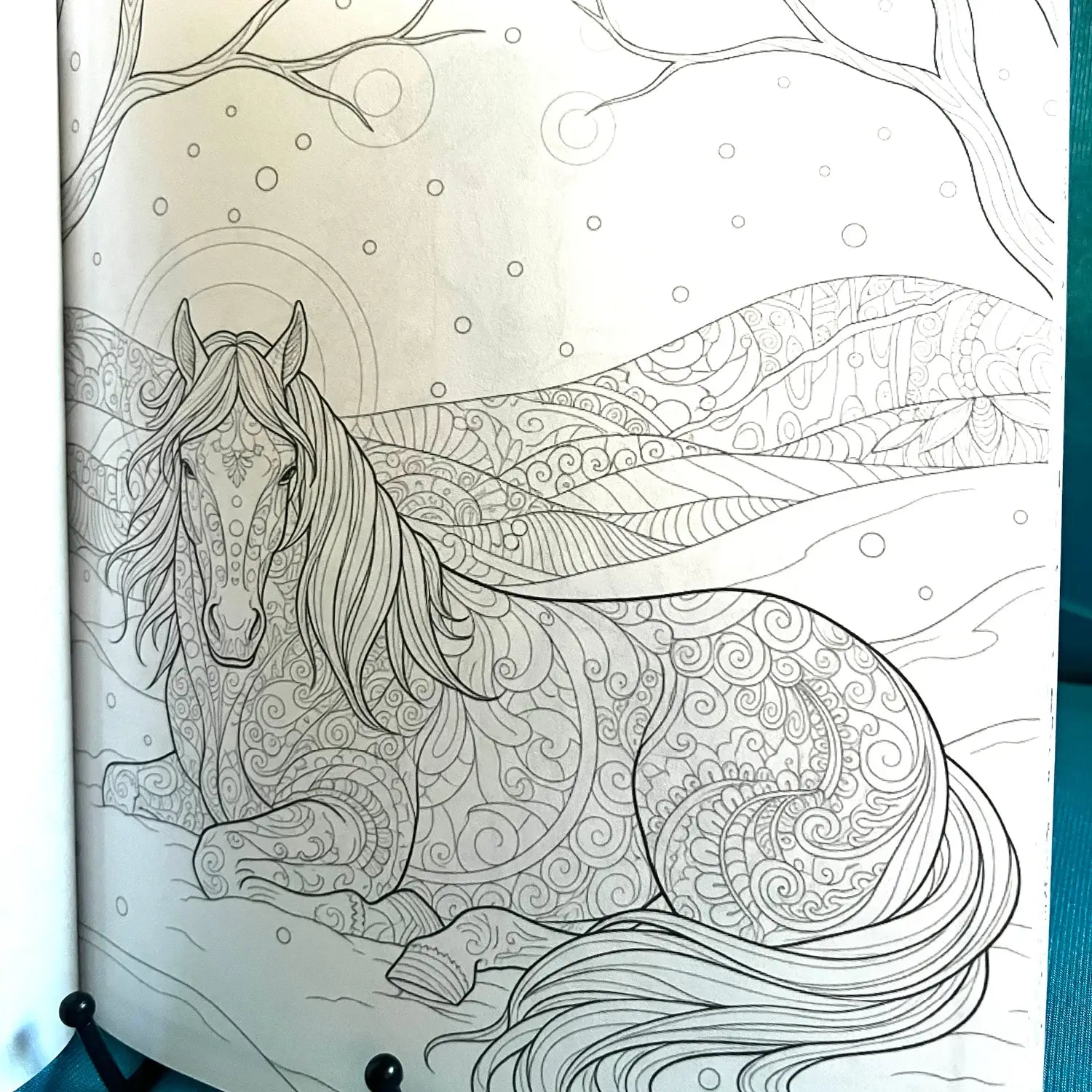 Winter Horses Coloring Book