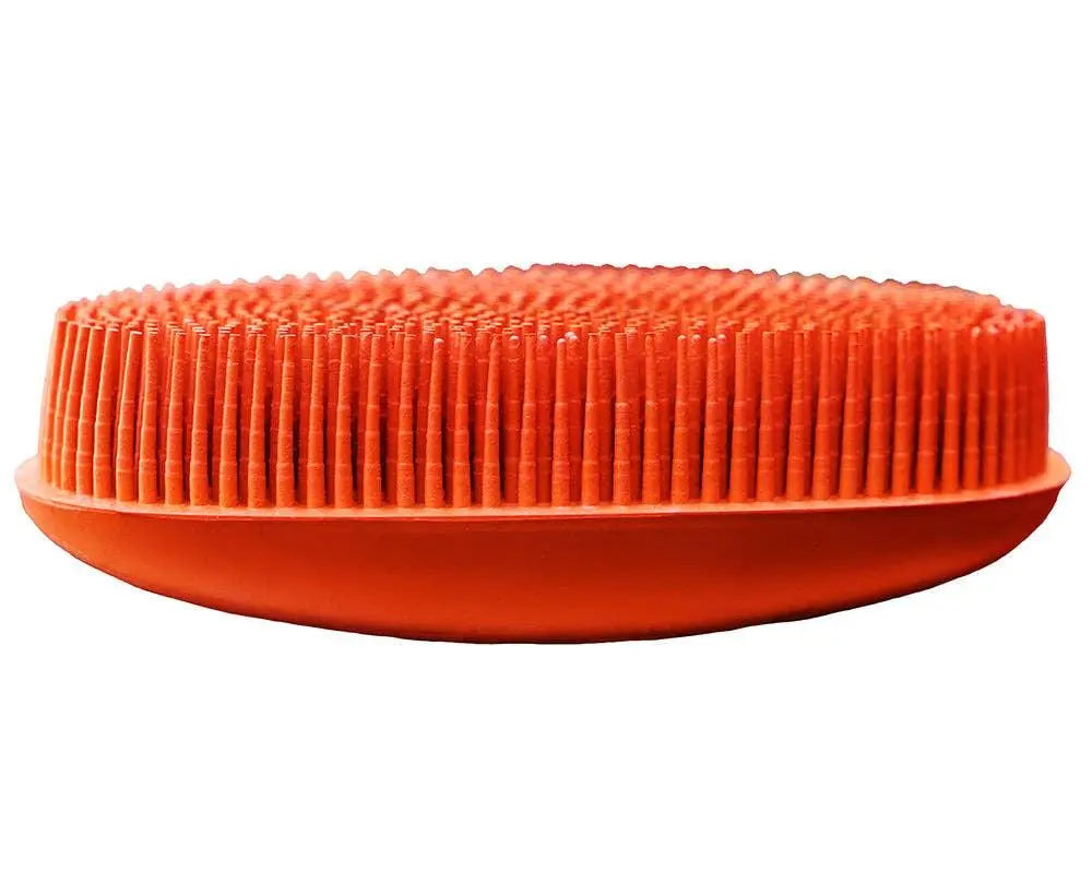Oval Face Curry Grooming & Bathing Pet Brush Orange Horse