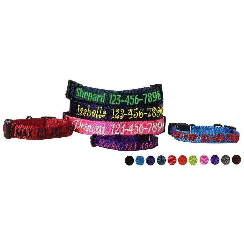 Nylon Flat Collar Dog